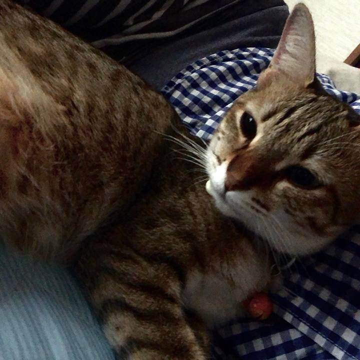 7ce2ebce 0f41 42aa 994f d7675b543560 1597486905455