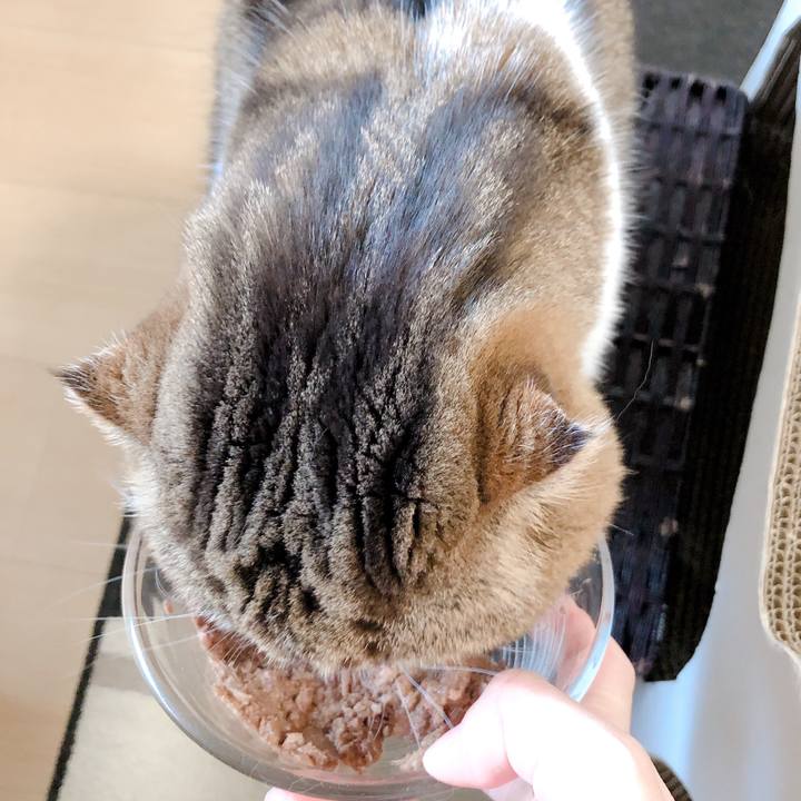 7ce2fb03 f3a8 4f1d a0f6 c85bb2be2776 1577161469238