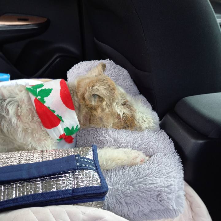 7ce31f43 f04f 4de5 826f a81fd879ba4f 1623464611327