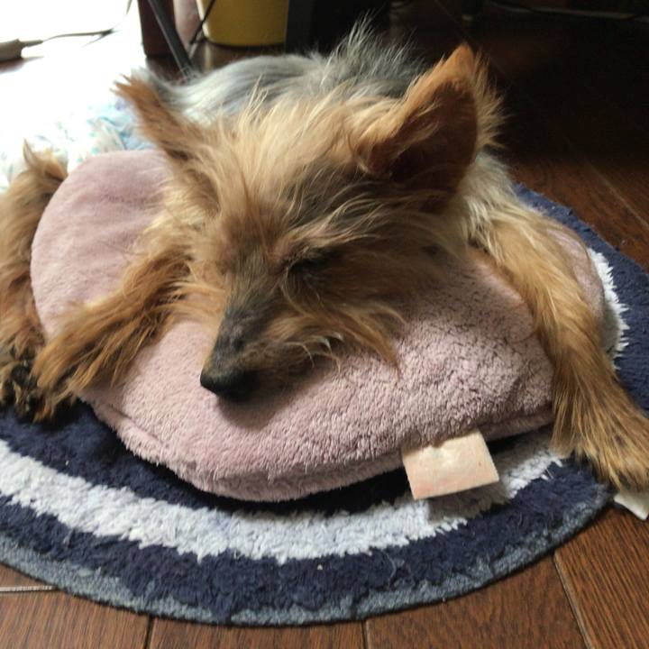 7ce36bb1 962d 44bd adaa 0779265581d2 1535607518067