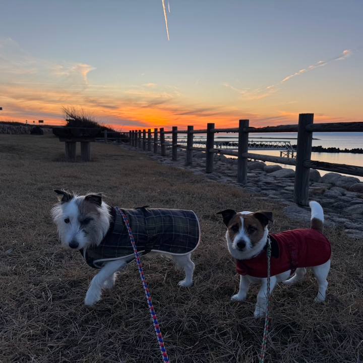 7ce37895 c784 42da a959 4d6ff7110f8d 1737328415213