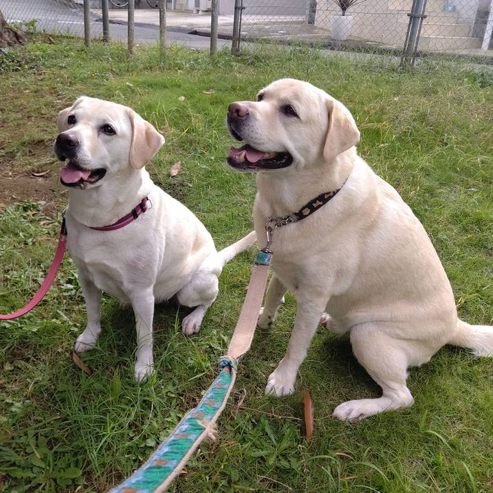 7ce381f0 4c00 492a 9ab2 facb5af67132 1665972686408