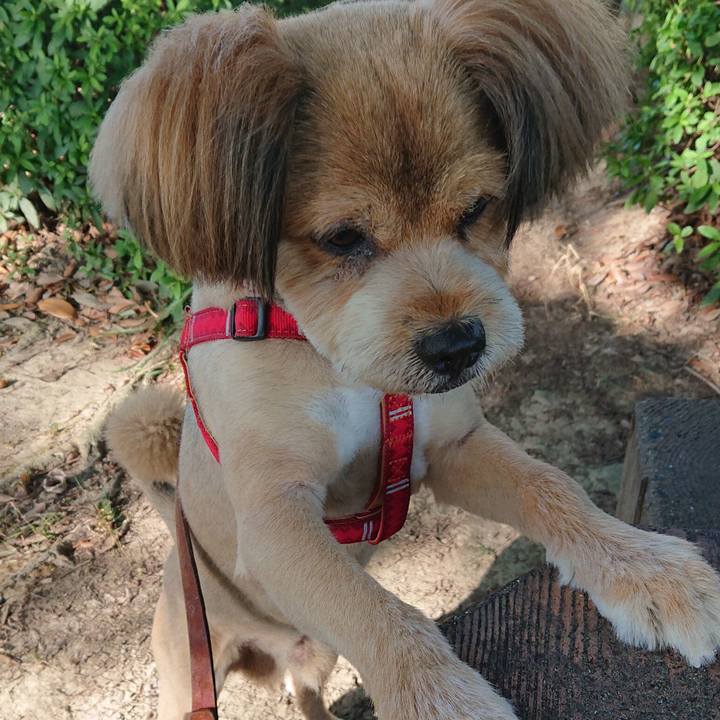 7ce39e85 06a2 4e06 8762 17d94fcd6713 1568720588405