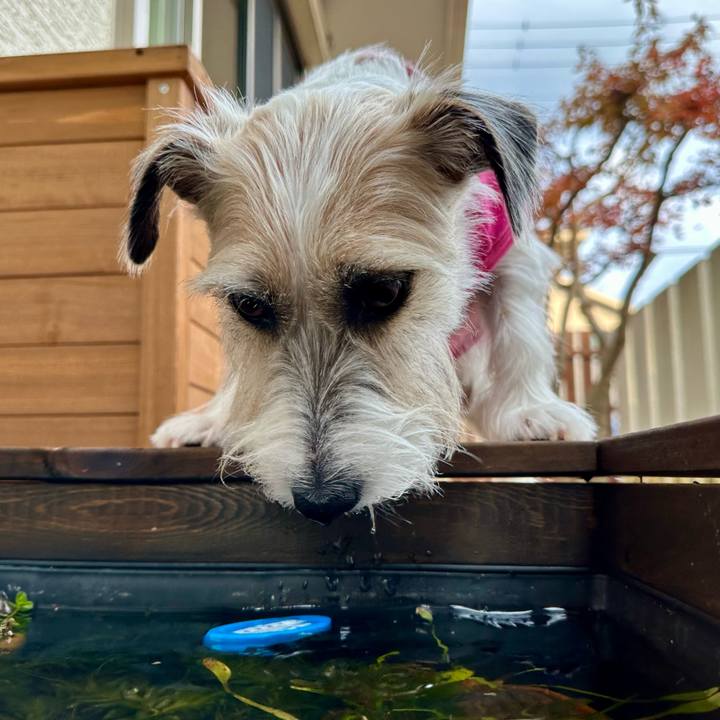 7ce3a32c f758 4477 8812 4557e2d0c80a 1703938978360