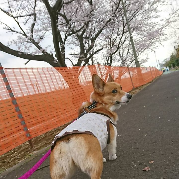 7ce3c09c d9b2 41f8 8870 6e2077c0d1ef 1554187037324