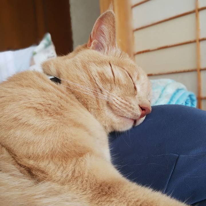 7ce3e466 da7c 4433 9835 e19b565cd08d 1628999684291