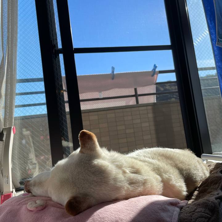 7ce3f5d3 7f81 4fde 8412 049372ab12e2 1638077818497