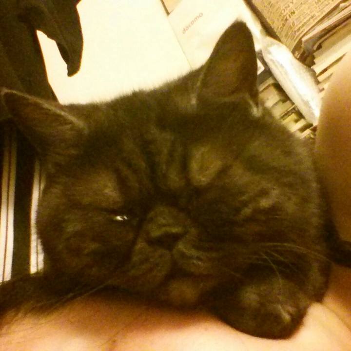 7ce40fdd 0212 4586 b319 e067e8ee235a 1528019042469