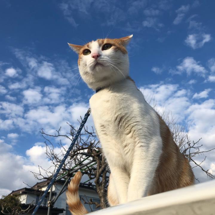 7ce42efb 207e 4433 bf84 301e17255852 1555140784679