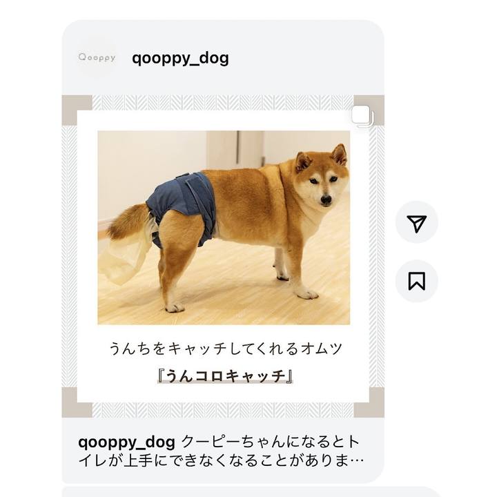 7ce4402f 2aa3 41c9 8e9c a4eb0251ec72 1724233059827