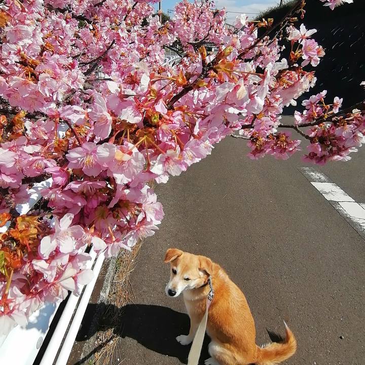 7ce457d9 fe69 43f0 ae5b bfb1e5e6c5a0 1582863018899