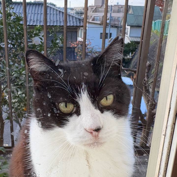 7ce46e47 699a 40b3 ae5d c208d9abe08c 1764214976208