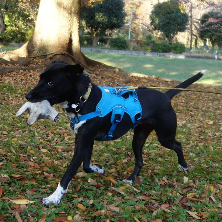 7ce48b78 b98a 4a23 a137 d426e44e691a 1605312220199