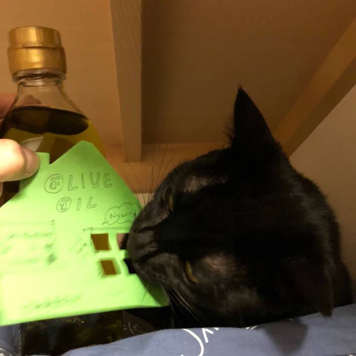 7ce496fe aa5a 4d28 9ba3 630f9f59ca5b 1543060644655