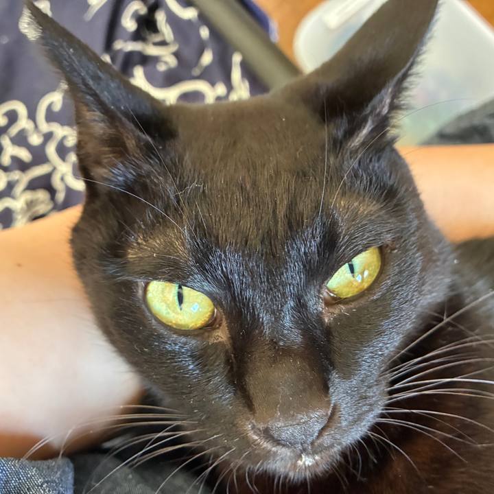 7ce4b4b1 8af7 4d17 b35f f613538bbd21 1756599200438