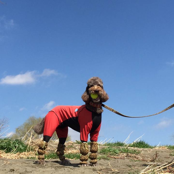 7ce4c923 069e 404e ab6b 32c26aef4ea2 1520315241961