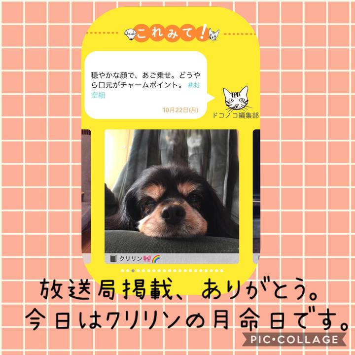 7ce4d5f9 08fd 43a0 a0ea ce4ddf0a612e 1540174082857