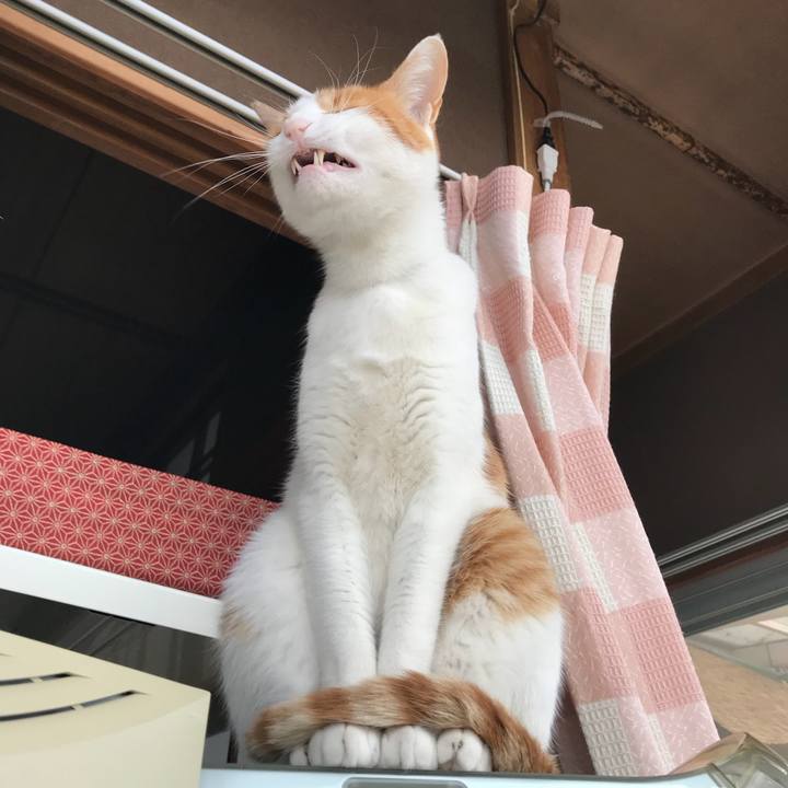 7ce4d6ad 60ec 4c8a 8bd5 7132047cbf8b 1514712363540