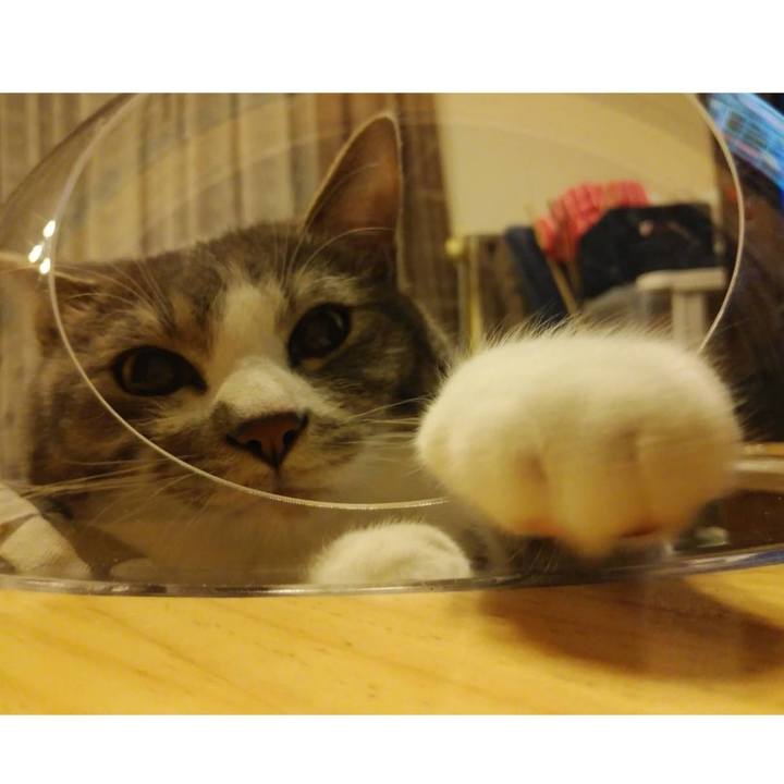 7ce4f1ce 1ef1 4060 b981 6129fefcd714 1585400749805