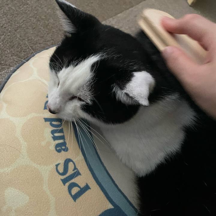 7ce50134 f158 47f2 a6e9 70940730baad 1718755658758