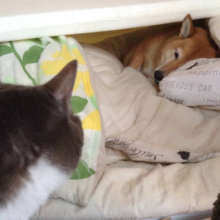 7ce538dd 9140 400a 93d4 26d4c37b346b 1542933373212