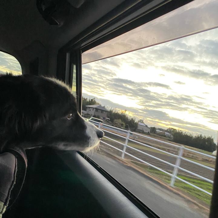 7ce574d2 0af2 4a59 bc12 1b87a0248c0d 1642716467848