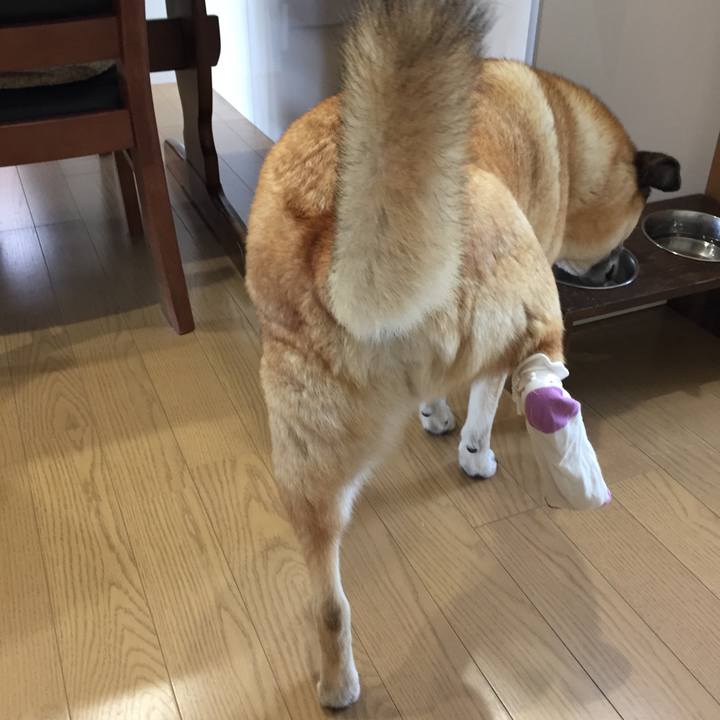 7ce5ec43 2549 454b b3de 2048c5052e98 1526695060240