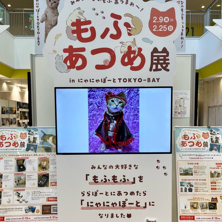 7ce64c4a 1908 412d 897a ca264d0ed375 1708076464294