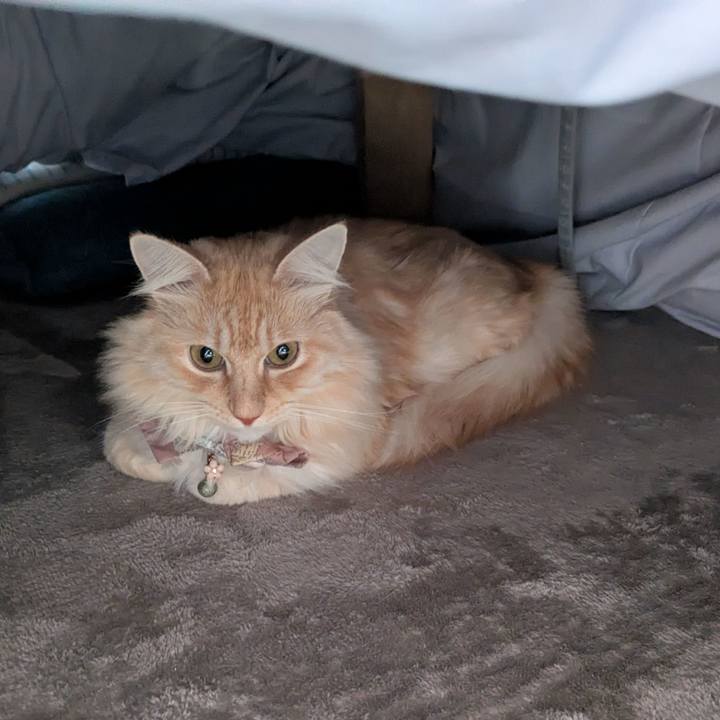 7ce6754c 8399 4c23 9bb3 b9ce28d92523 1734142569446