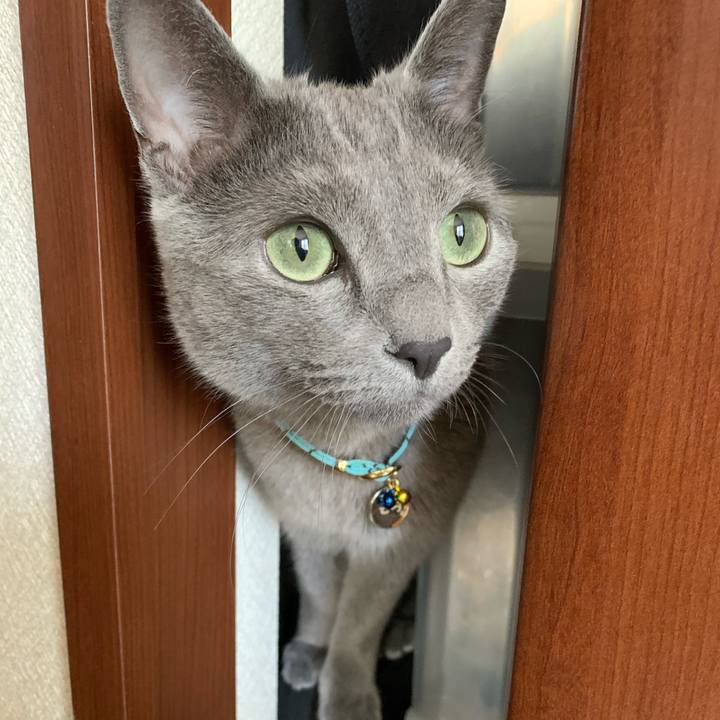 7ce67acf 348e 4136 8c8d 6aa5bbd03fd0 1619073221419