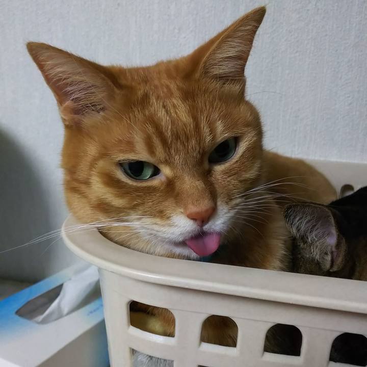 7ce67e94 8bad 43b9 946c 9e5dea76f1ae 1635655946216