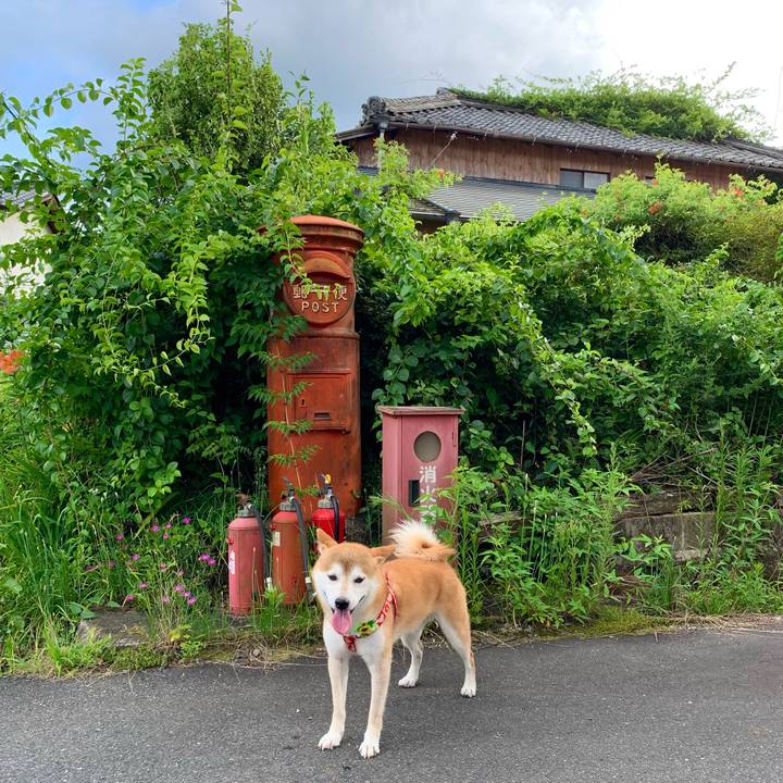 7ce69f27 50de 4aab a136 876e3b01b9e3 1627986128093