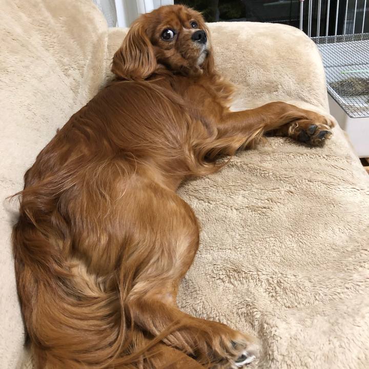 7ce6ac5c 4e4f 426f 84c8 9bedd2ce09af 1555675029118