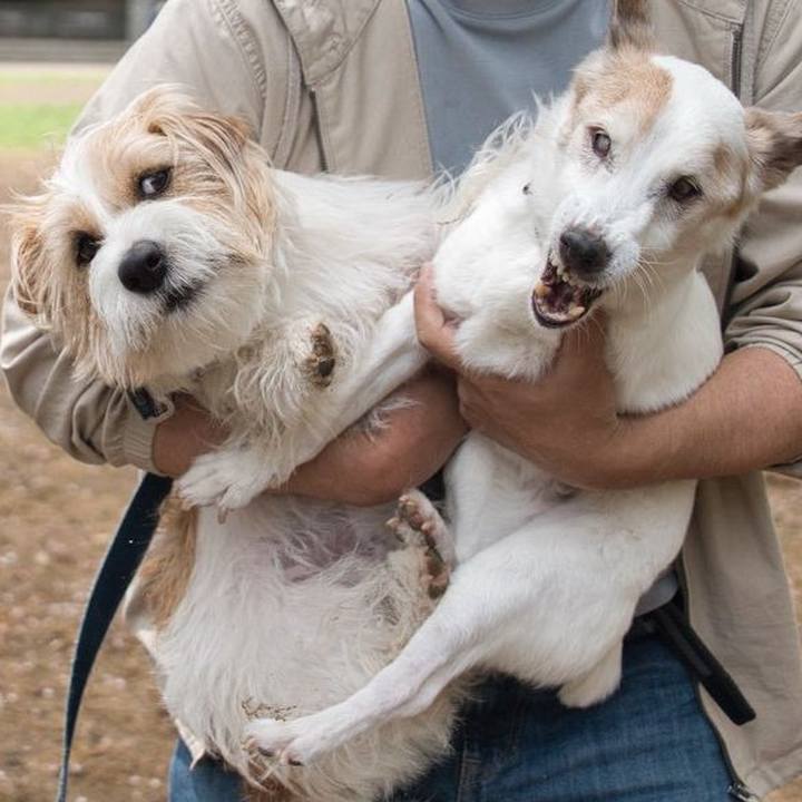 7ce6c74f 80bc 409b 9aac e3e1347a0054 1776522751388