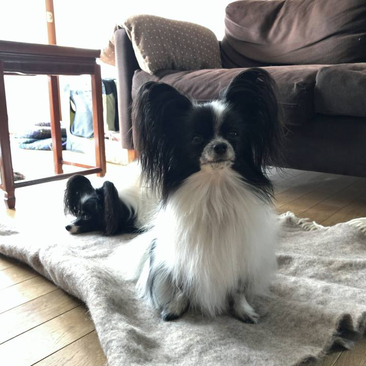 7ce71754 a276 45c9 bfcf f0a26df1cedd 1539918589724