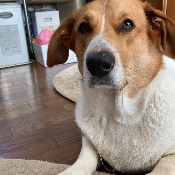 7ce7683a 44f6 40d1 a5c6 4ab82edbcbd7 1637897466979