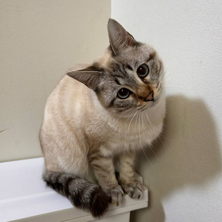 7ce77153 8dce 41f8 a39c 1f085fb22dda 1739362985094