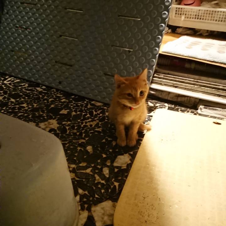 7ce786a9 7547 47a6 be45 fe049efcad0c 1632218333410