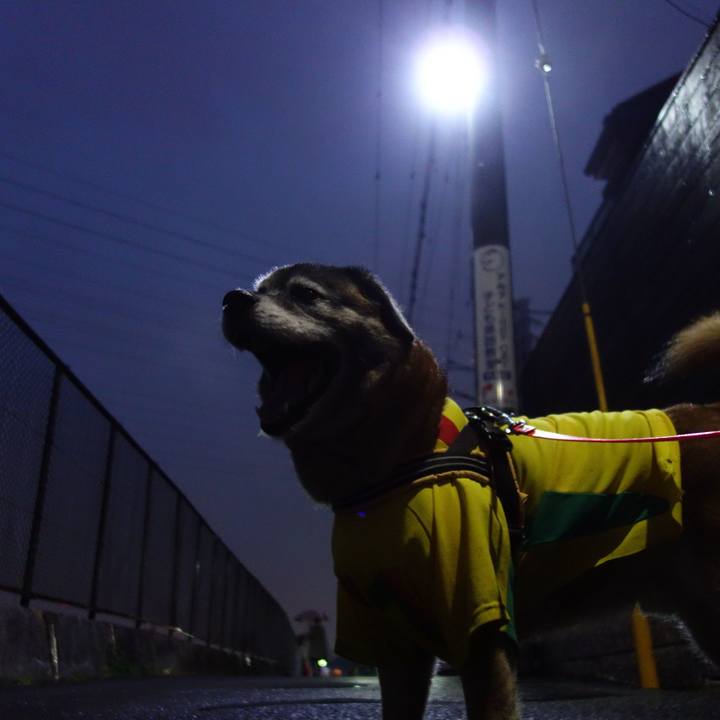 7ce7a4fe 29ba 4d71 9fe1 8f588437ad0a 1523961651568