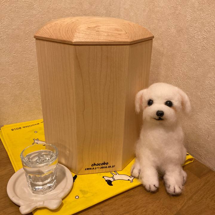 7ce81769 7f34 4f40 a91d b334617ede83 1637667669894