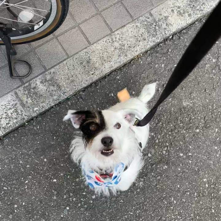 7ce868d0 d7b9 42a4 9c4c 528a8224bcd2 1657529541014