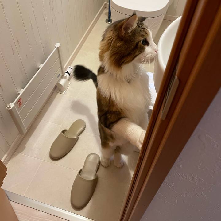 7ce878e5 4352 455d 9a7d 7a385f1ce188 1662671976297