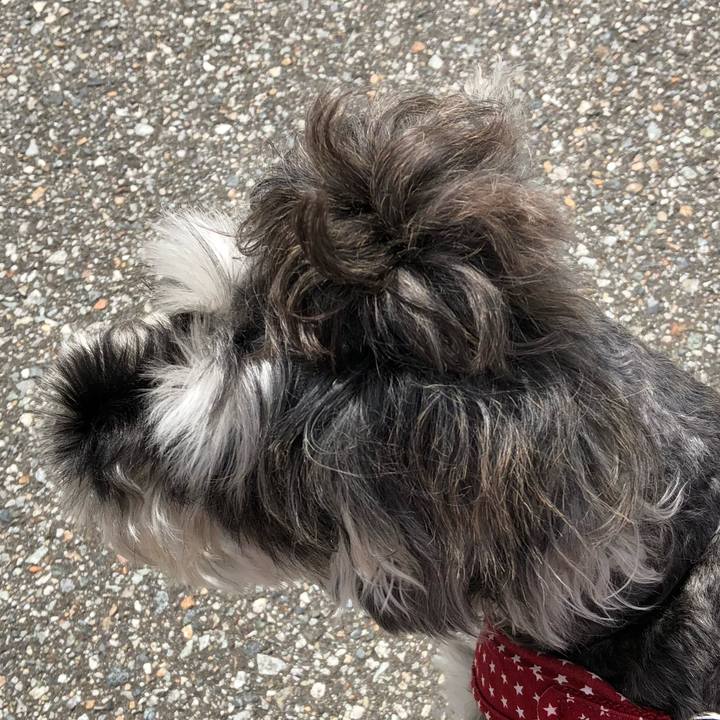 7ce88514 66c1 4121 b4ea 44244fe3ea11 1537596203848