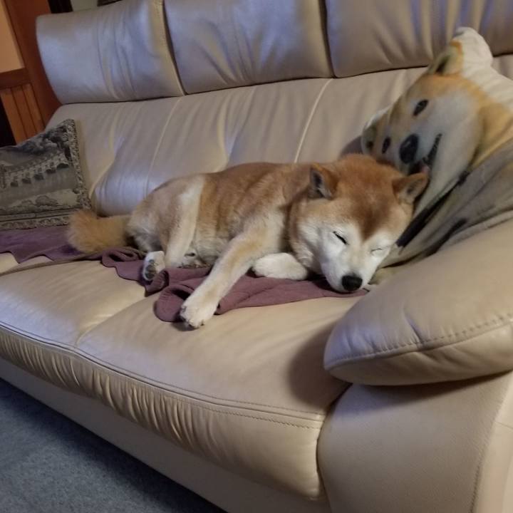 7ce8b9f1 d6e9 4988 a378 871e4c226884 1680860540889