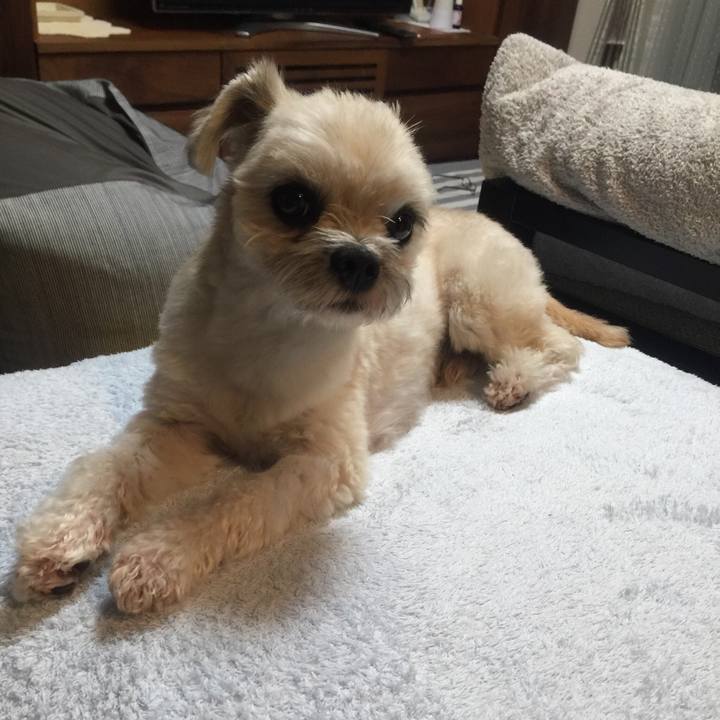 7ce8c0f7 7b48 4bce 99ff 80c8f8c27369 1535540679228