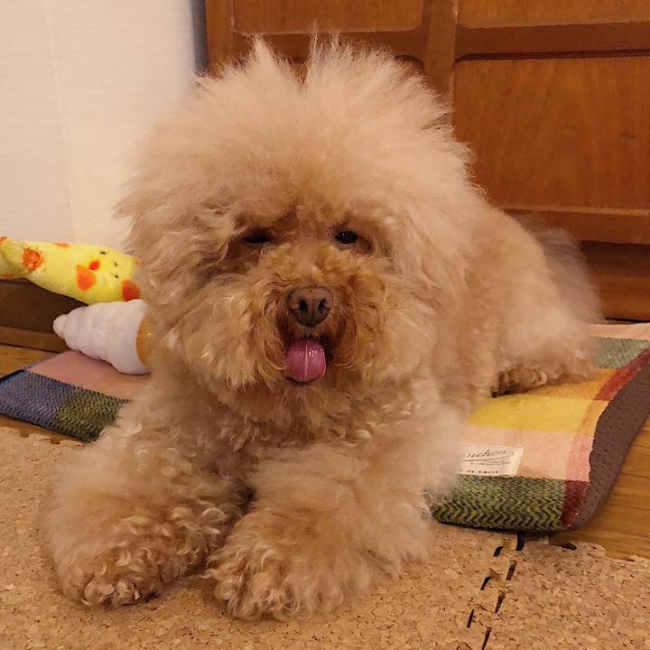 7ce8d585 3b68 4868 a99b 0353c0c15854 1538652729635