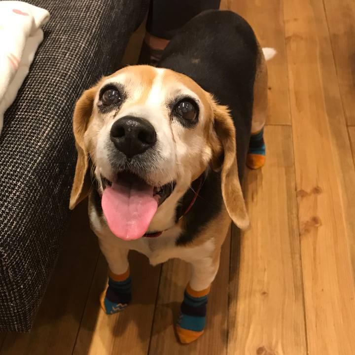 7ce8f11d b911 4e6f bdfa 86d3dc11fa4e 1555421626277