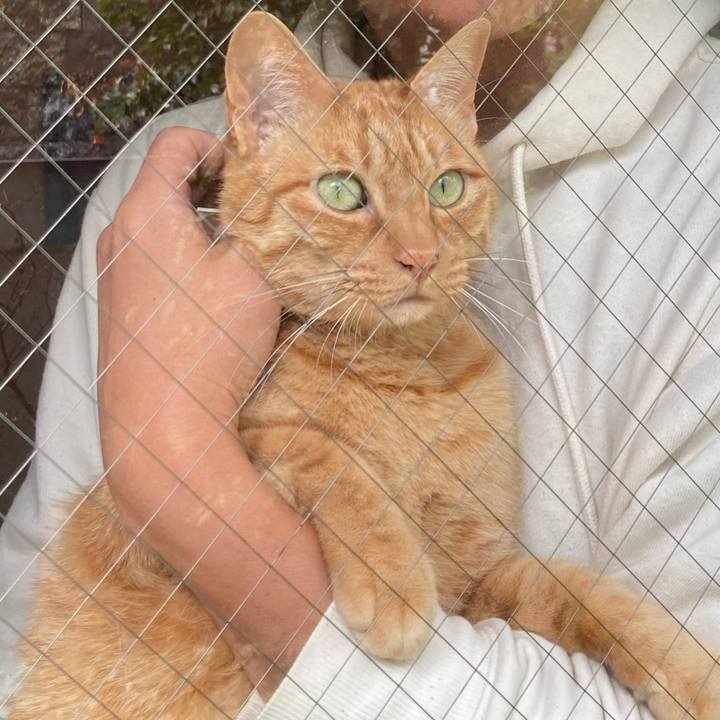 7ce8fae0 b445 4659 898a 9b368ddaa13f 1648254028529