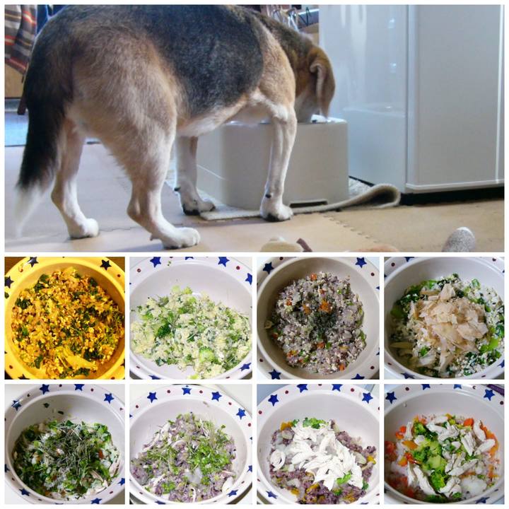 7ce95443 e5f6 43fd 8e53 6d8a1371c940 1679185978147