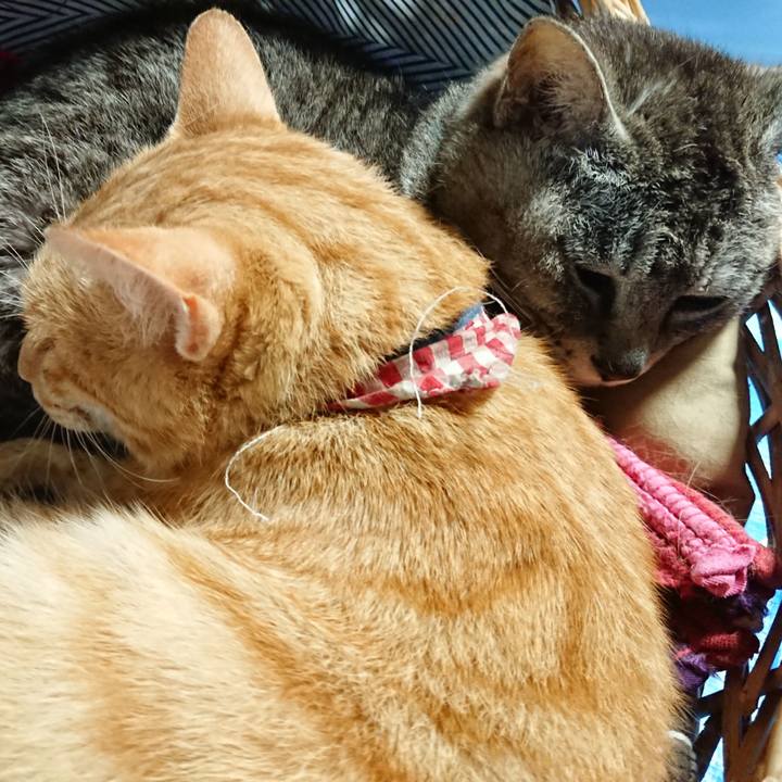 7ce97c9a ec1e 4119 883d 7e81174c9672 1561875325229